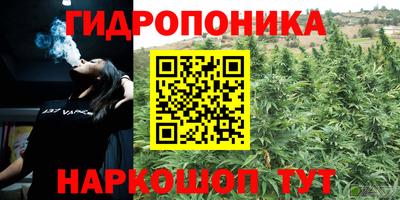 гидропоника Будённовск