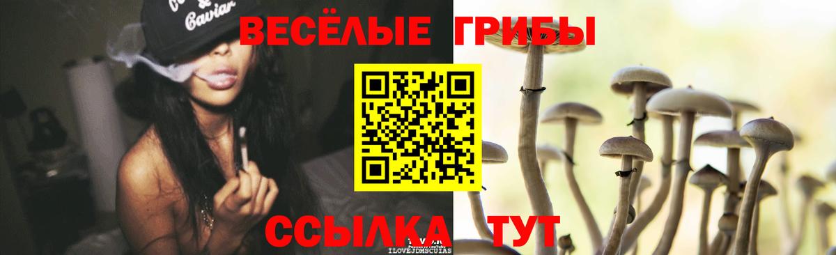 Симферополь  Псилоцибиновые грибы GOLDEN TEACHER  Вход с VPN  Галлюциногенные грибы MAGIC MUSHROOMS 